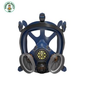 replaceable filter mask